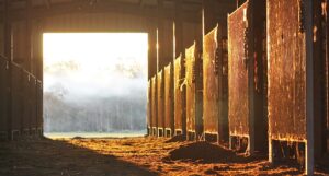 What is your true network administration article header