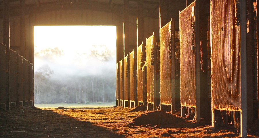 What is your true network administration article header